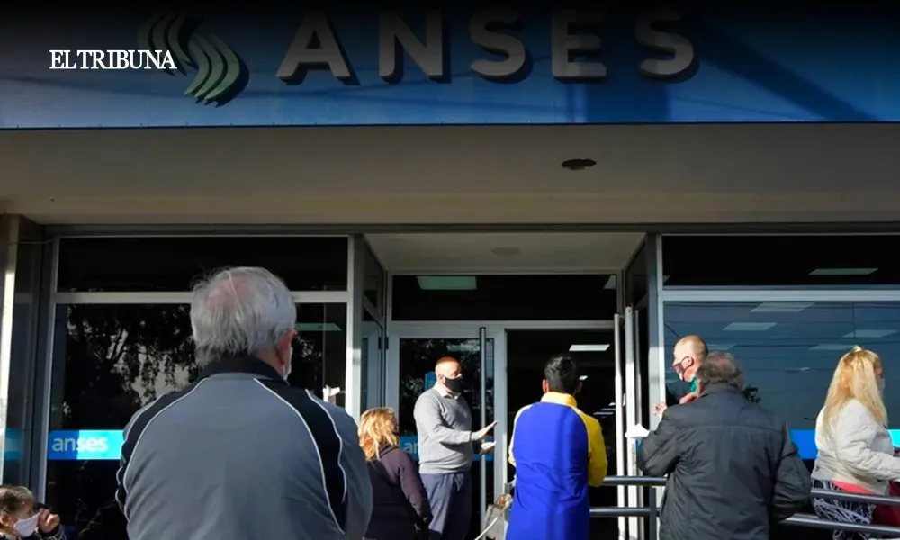 WhatsApp Image 2025-03-26 at 09.50.11