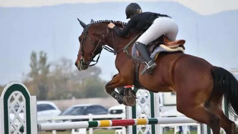 f608x342-217687_247410_15webp