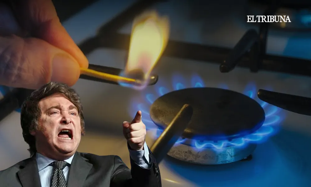 WhatsApp Image 2025-03-06 at 11.26.21 (1)