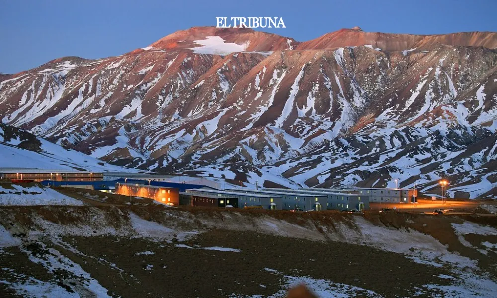 WhatsApp Image 2025-02-04 at 11.59.50 (1)